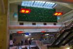 Transilien SNCF inaugure un mur v�g�tal d�polluant � la gare Magenta