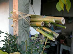 Construire un nichoir � insectes