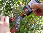 Entretenir ses outils de jardin