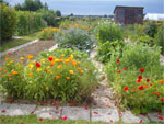 Potager D.R.