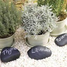 Galets marqu&eacute;s pour identifier les plantes