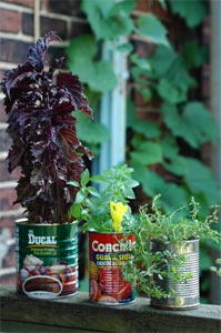 Bo&icirc;tes de conserves en pots de fleurs