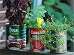 L'art de la r�cup' au jardin