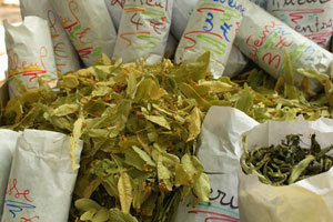 S&eacute;chage de fleurs pour infusions