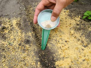 Le vinaigre avec le poivre du psoriasis