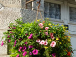 Suspensions . donnez de la hauteur � vos plantes....