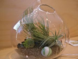 Terrarium sec