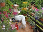 Arbustes pour terrasse fleurie