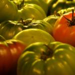 Tomates