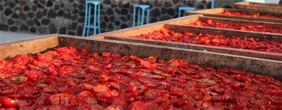 Tomates séchées au soleil