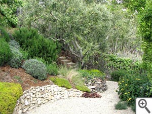 Pierre au jardin en Provence