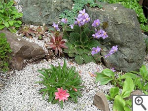 Petite rocaille au jardin