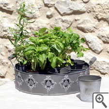 Pots d'aromatiques en zinc