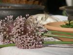 Menace sur les m�dicaments traditionnels � base de plantes