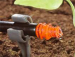Le micro-arrosage