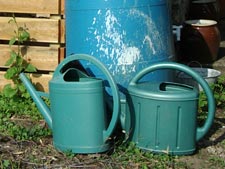 Jardinage en juillet