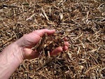 BRF : introduction au bois raméal fragmenté