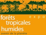 Exposition : For�ts tropicales humides, avenir de la plan�te