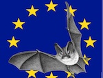 15e Nuit Europ�enne de la chauve-souris, du 28 au 29 ao�t 2011