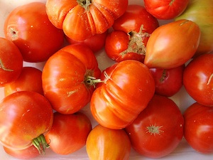Tomates... du jardin