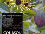 Journ�es des Plantes d'Automne de Courson