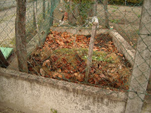 Tas de compost de feuilles