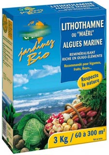 Paquet de lithotamne