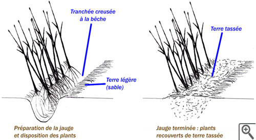 Mise en jauge : schéma explicatif
