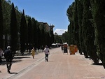 Montpellier, capitale fran�aise de la biodiversit� en 2011