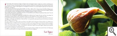 Paroles de fruits
