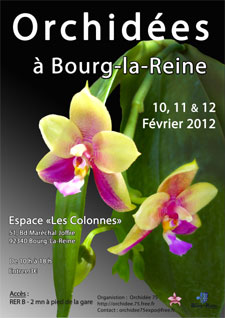 Orchid&eacute;es &agrave; Bourg-la-Reine