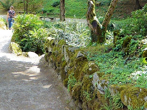 Bordure de pierre habillée de mousses