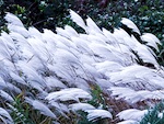 Donnez du mouvement � votre jardin