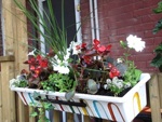 Des id�es pour vos balcons et terrasses