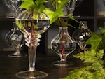 Nouvelle collection d'objets d�co chez le fleuriste St�phane Chapelle
