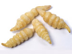 Crosnes