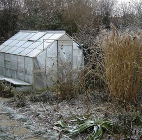 Jardin froid et sec