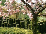Les Jardins de S�ricourt �lus Jardin de l'Ann�e 2012