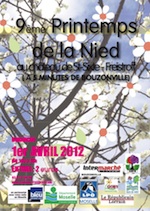 Printemps de la Nied - Freistroff - Avril 2012