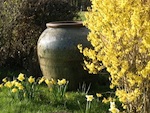 Jardin d'El�gance : des jarres majestueuses pour orner le jardin