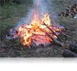 Feu de bois