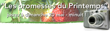 Notre concours photos