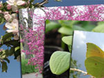 Concours photos Gerbeaud.com