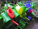 Economiser l'eau au potager