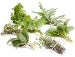R�colter et conserver les aromatiques