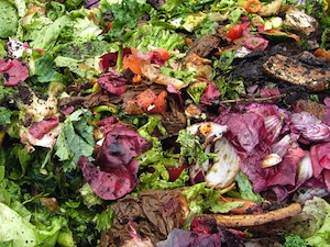 Compost : déchets de cuisine