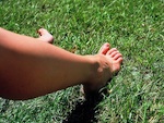 5 gestes pour un gazon en forme en �t�