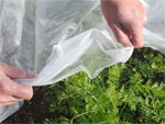 Les voiles anti-insectes