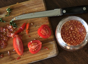 Récupération de semences de tomates