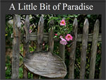 A Little Bit of Paradise